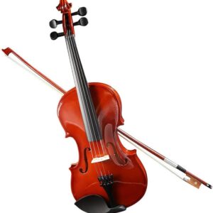 Violín