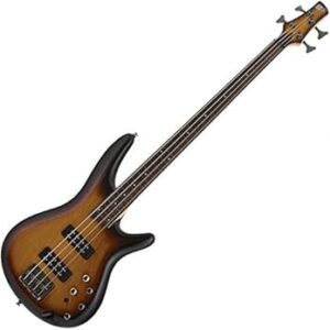 Bajo fretless